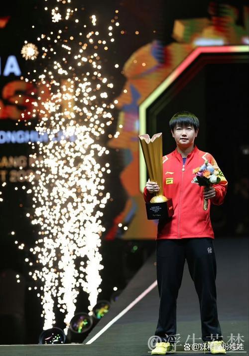 中国选手表现出色 WTT总决赛拉开帷幕 中国选手表现出色 WTT总决赛拉开帷幕